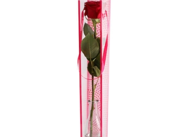 Single rose presentation bag