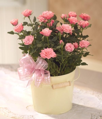 Mothers Day Memories *