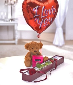 Perfection Teddy Bear Gift Set